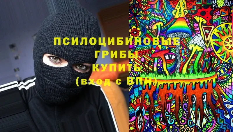 Галлюциногенные грибы Magic Shrooms  Ступино 